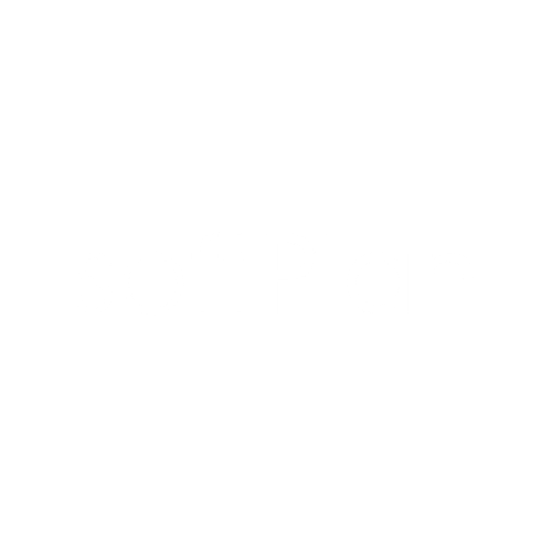 Softplan Informatik
